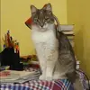 Отзыв от Галя Винокурова